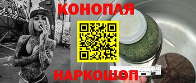 индика Нальчик