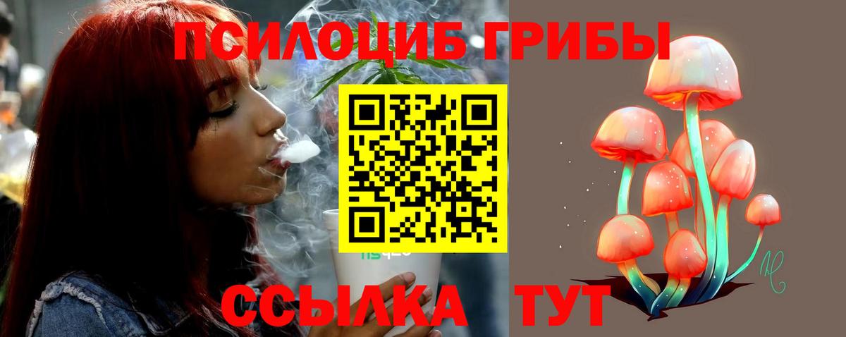 Галлюциногенные грибы Cubensis  Вход с VPN  Сунжа 