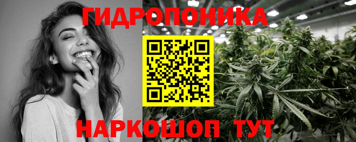 Марихуана сатива Сунжа